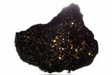Polished Sericho Pallasite Meteorite ( g) Slice - Kenya #348855-1